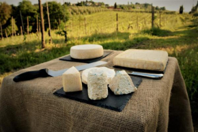 Agriturismo Fattoria le caprine Gambassi Terme